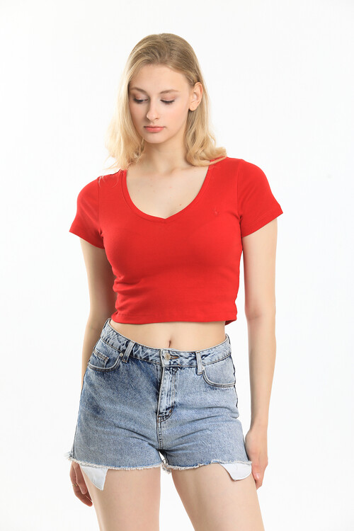 V Yaka Nakış Detaylı Crop Bluz